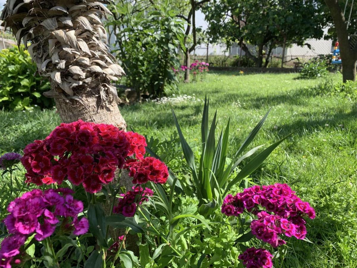 הוילה באר Draskovic'S House מראה חיצוני תמונה
